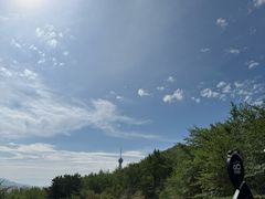 -青藏高原野生动物园