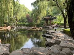 -百脉泉景区