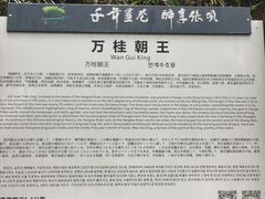 -张坝桂圆林公园