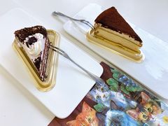 -喵的天空名猫咖啡馆·撸猫·猫舍·用品