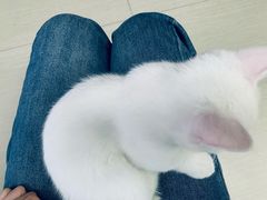 -Again Coffee Roaster(香蜜湖店)