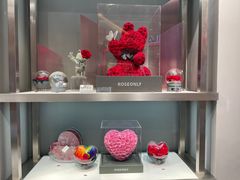 -ROSEONLY诺誓(广州K11店)