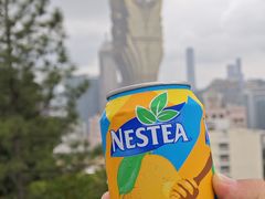 -东望洋炮台东望洋灯塔