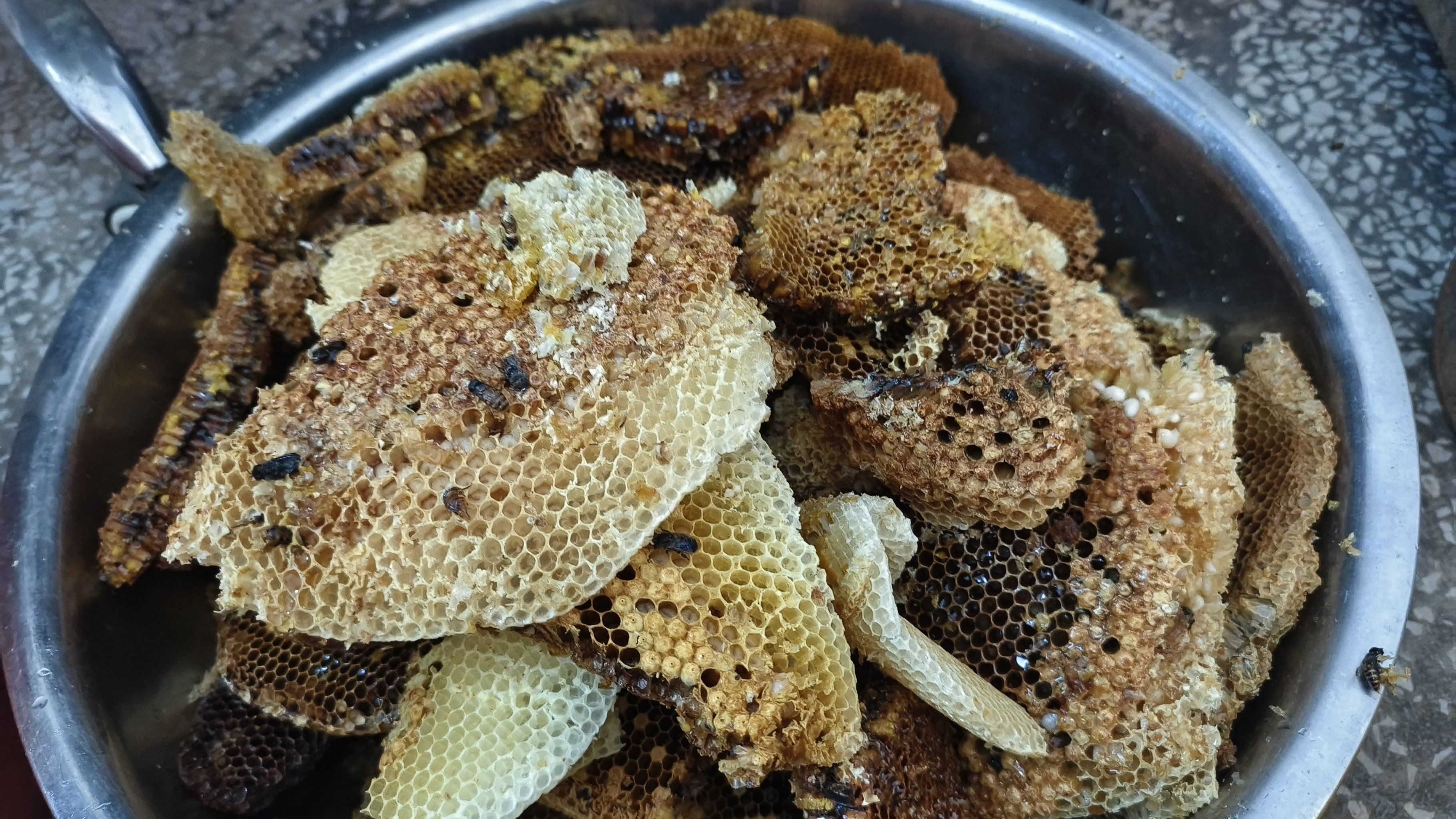 梦见采野蜂蜜(做梦梦到采野蜂蜜)