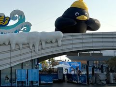 -汕头中海黄金海岸水上乐园