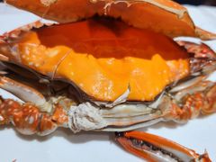 -渔民船说·北塘海鲜·天津菜·海肠捞饭(北塘古镇店)