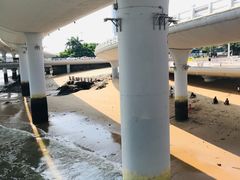 -演武大桥观景平台