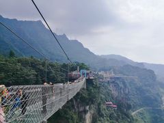 -梦幻奥陶纪景区