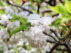 -白塘生态植物园