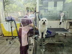 -暖阳宠物医院·犬猫康复中心·骨科