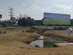 -桤木河湿地公园