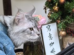 -西火火·川派小火锅(西溪银泰店)