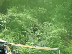 -重庆睡佛山森林公园