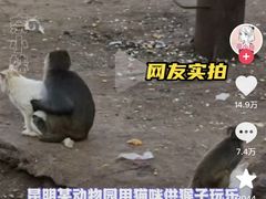 -昆明动物园