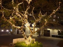 -大连蚂蚁岛度假区