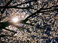 -福福泥炉烤肉(三台子店)