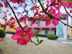 -上海交通大学董浩云航运博物馆