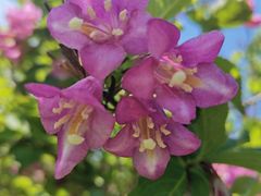 -长春公园(普阳街道)