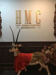 -HMC美容按摩SPA馆