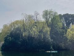 -新江湾城公园