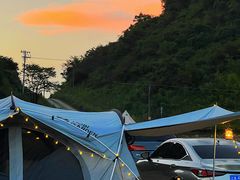-武陵山森林公园