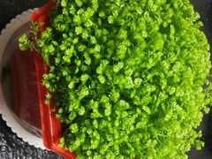 -秦美花卉(天朗·莱茵小城2期店)