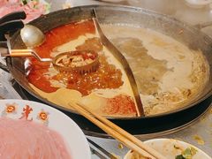 -朱光玉火锅馆(正弘城店)