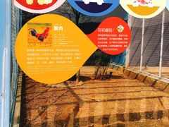 -无锡动物园·太湖欢乐园