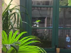 -The Good Place好地方·Brunch·coffee(国贸店)