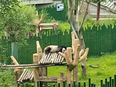 -沈阳森林动物园