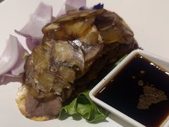 -鸭王烤鸭店(三里河店)