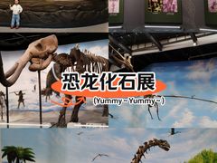-辽宁古生物博物馆