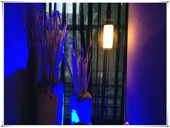 -马仕玖煲·融合菜·酥不腻烤鸭(人大店)