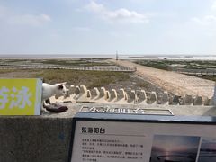 -南汇嘴观海公园