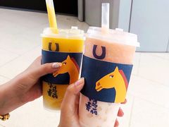 -春丽小马(济南恒隆广场店)
