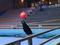-洛阳龙门海洋馆