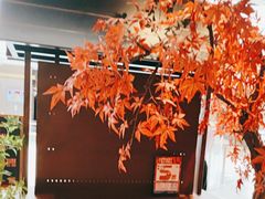 -牛New寿喜烧(闵行龙湖天街店)