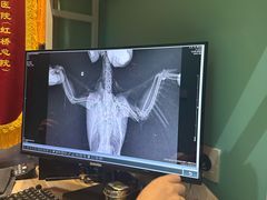 -雨林宠物医院 非犬猫异宠专科