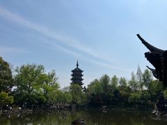 -红梅公园