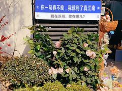 -山塘街