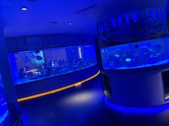 -上和臻品中国菜(花园街店)