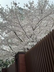 -浙江大学医学院附属妇产科医院(湖滨院区)