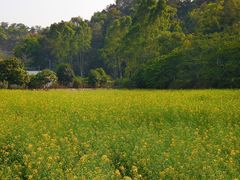 -红山村