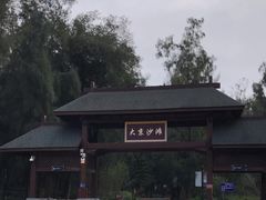 -大京沙滩