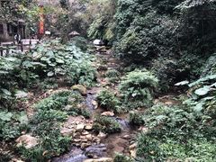 -桂林古东瀑布景区