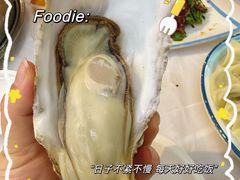 -东夷海鲜巨无霸(东夷小镇店)