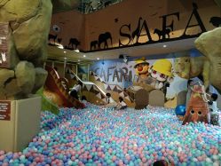 -卡通尼·Safari非洲探索乐园·生日会(金桥国际商业广场店)