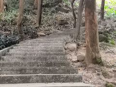 -火炉山森林公园