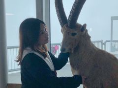 -希尔特峰