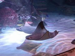 -沈阳海洋探索中心